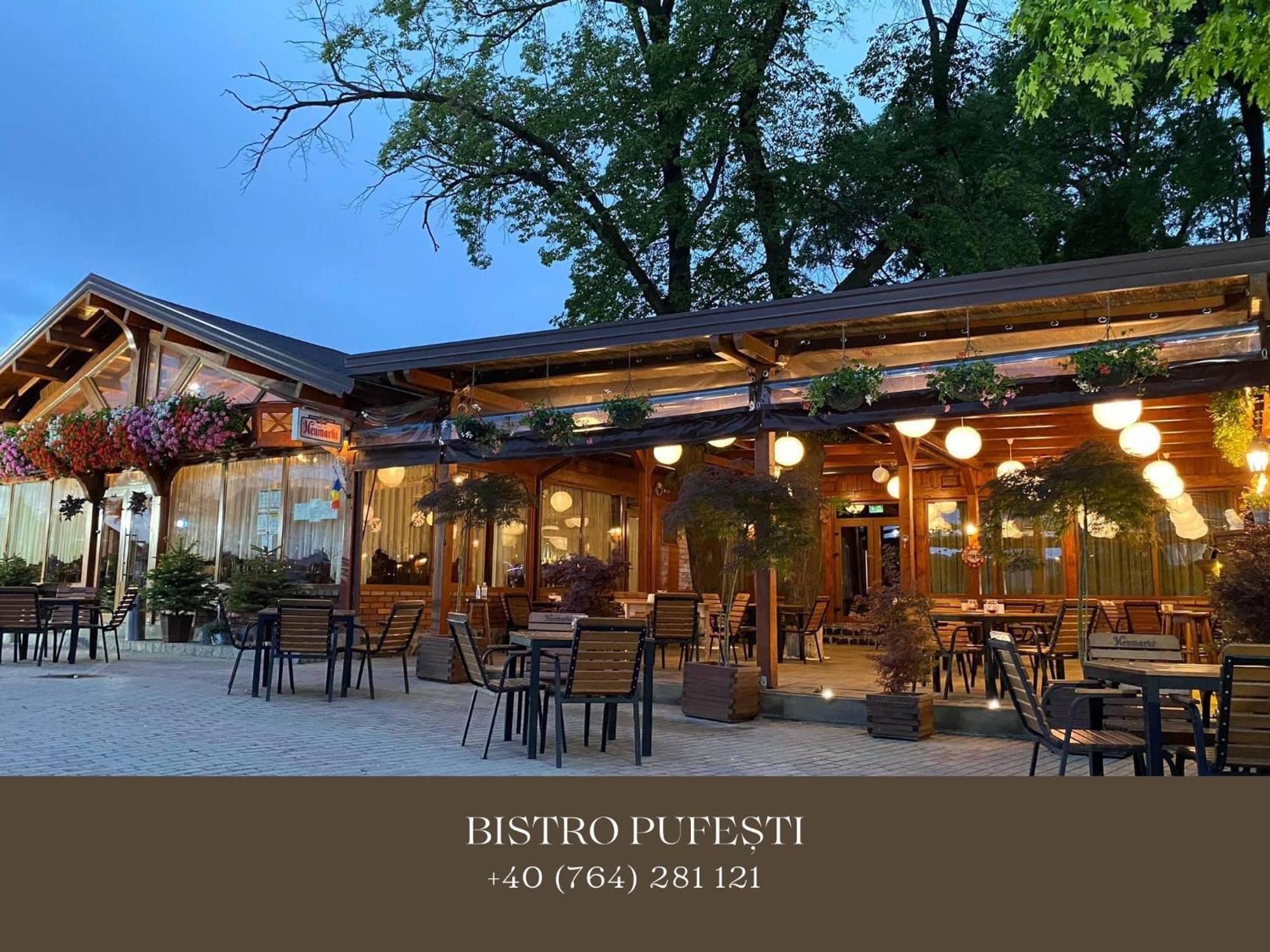 Cosy Apartments & Bistro Pufesti Zewnętrze zdjęcie